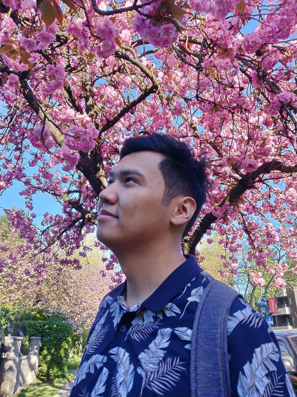 Portrait of Zhanibek Ali